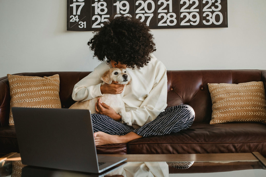 Home Office: How to Set Up a Pet-Friendly Workspace at Home