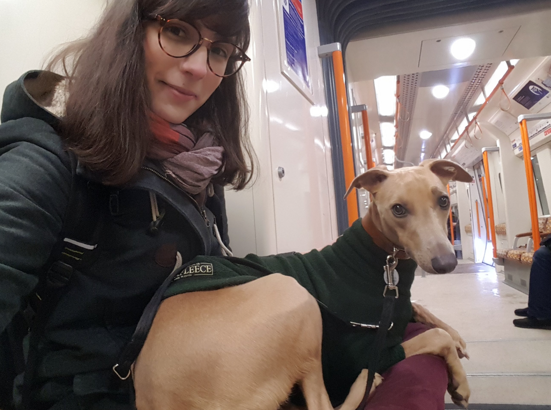 A Day in the Life of a Dog Mum in London