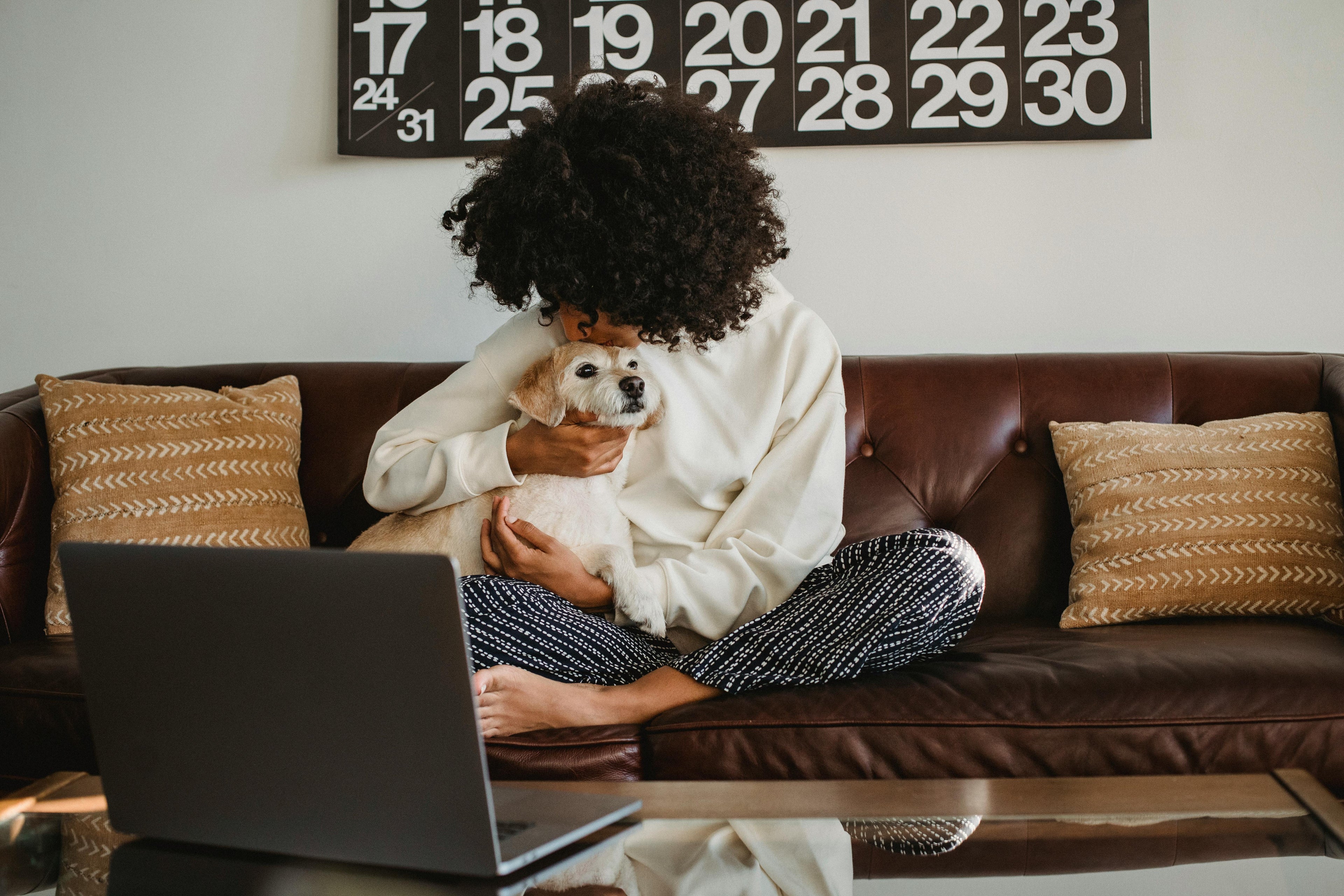 Home Office: How to Set Up a Pet-Friendly Workspace at Home